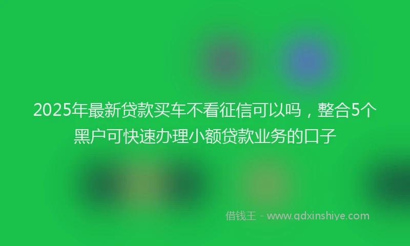 2025年最新贷款买车不看征信可以吗，整合5个黑户可快速办理小额贷款业务的口子