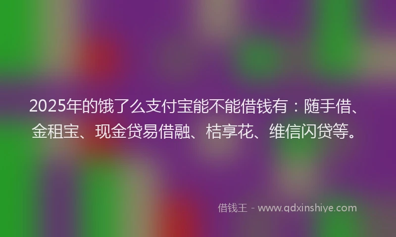 2025年的饿了么支付宝能不能借钱有：随手借、金租宝、现金贷易借融、桔享花、维信闪贷等。