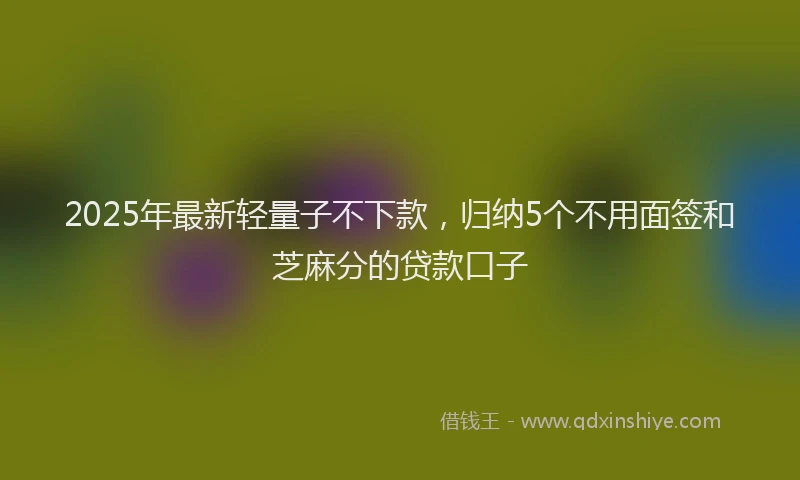 2025年最新轻量子不下款，归纳5个不用面签和芝麻分的贷款口子