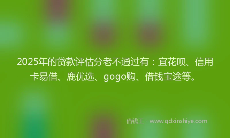 2025年的贷款评估分老不通过有：宜花呗、信用卡易借、鹿优选、gogo购、借钱宝途等。
