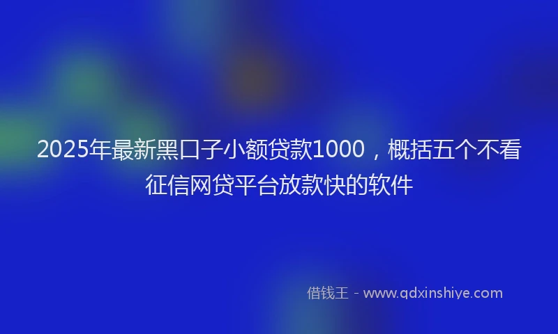 2025年最新黑口子小额贷款1000，概括五个不看征信网贷平台放款快的软件
