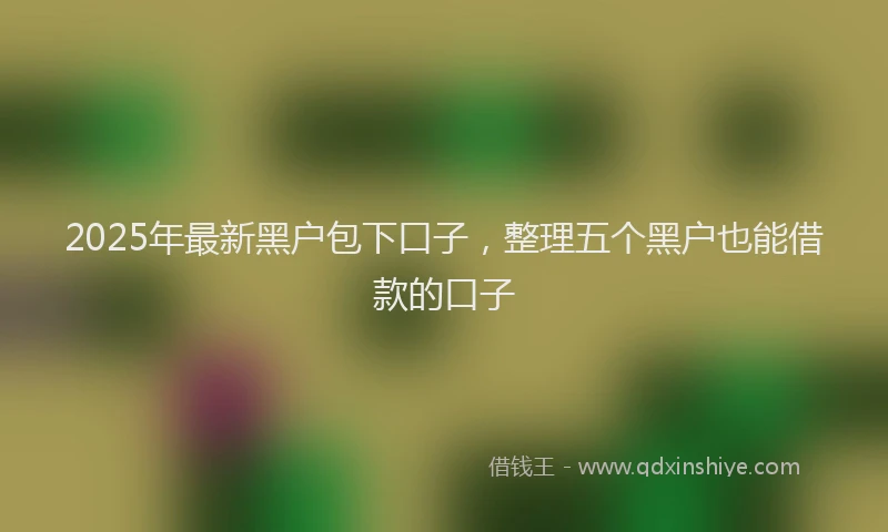 2025年最新黑户包下口子，整理五个黑户也能借款的口子