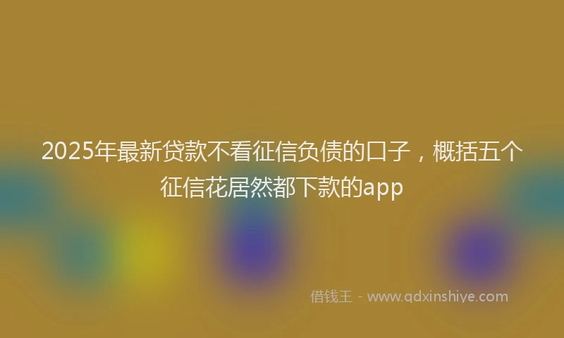 2025年最新贷款不看征信负债的口子，概括五个征信花居然都下款的app