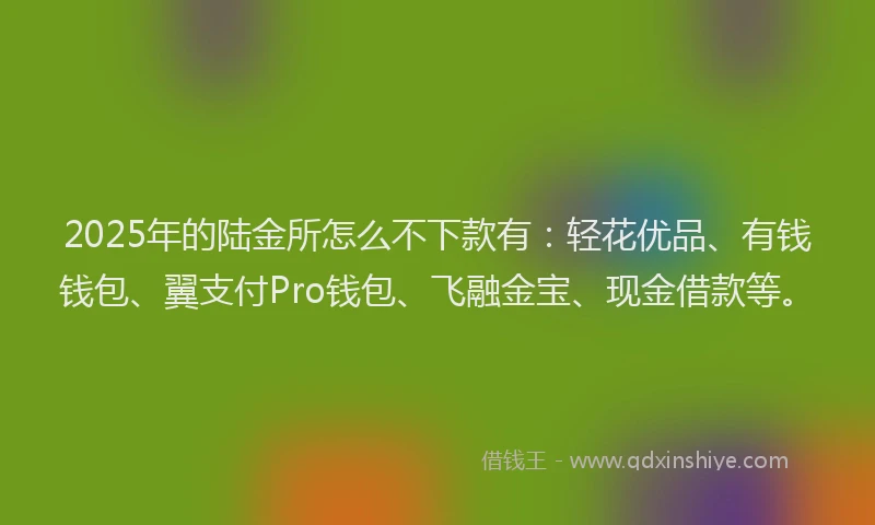 2025年的陆金所怎么不下款有：轻花优品、有钱钱包、翼支付Pro钱包、飞融金宝、现金借款等。