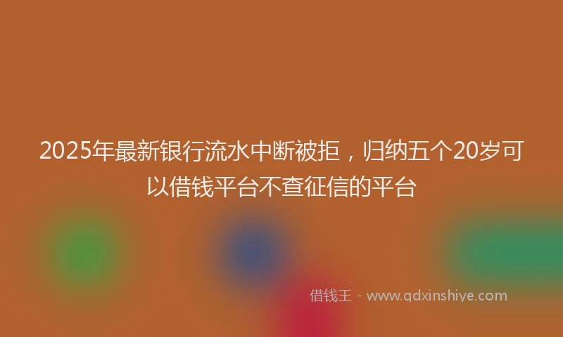 2025年最新银行流水中断被拒，归纳五个20岁可以借钱平台不查征信的平台