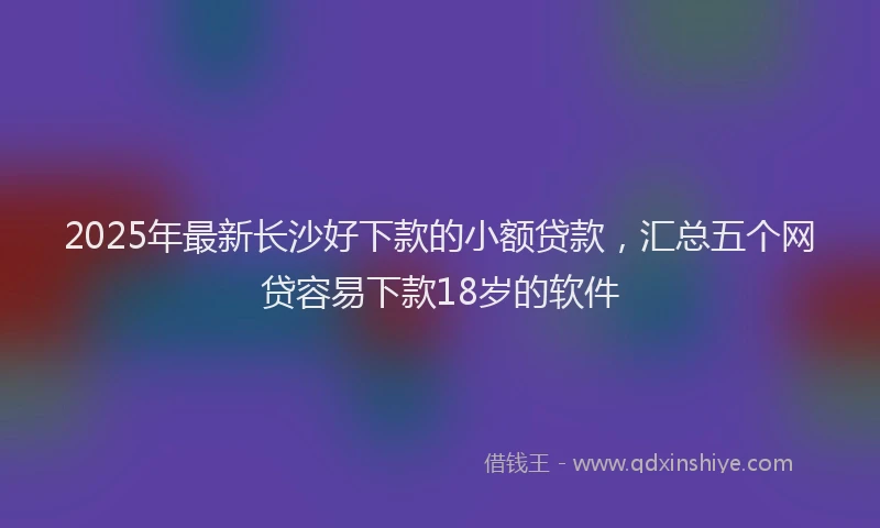 2025年最新长沙好下款的小额贷款，汇总五个网贷容易下款18岁的软件