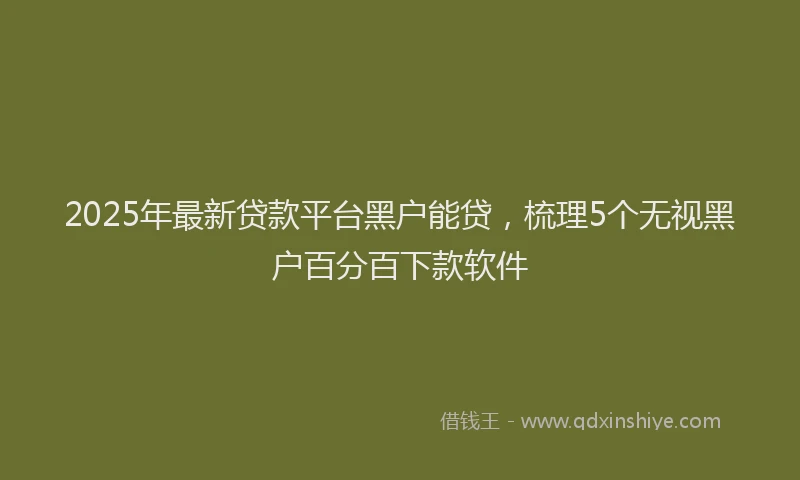 2025年最新贷款平台黑户能贷，梳理5个无视黑户百分百下款软件