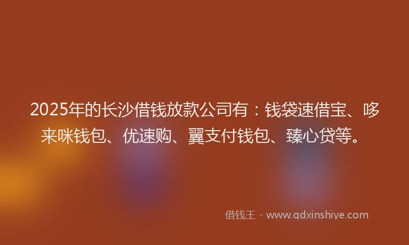 2025年的长沙借钱放款公司有：钱袋速借宝、哆来咪钱包、优速购、翼支付钱包、臻心贷等。