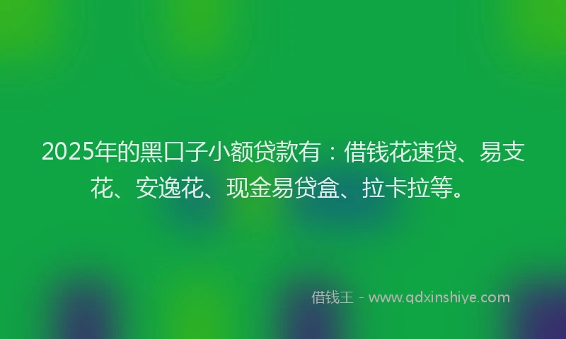 2025年的黑口子小额贷款有：借钱花速贷、易支花、安逸花、现金易贷盒、拉卡拉等。