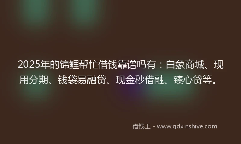 2025年的锦鲤帮忙借钱靠谱吗有：白象商城、现用分期、钱袋易融贷、现金秒借融、臻心贷等。