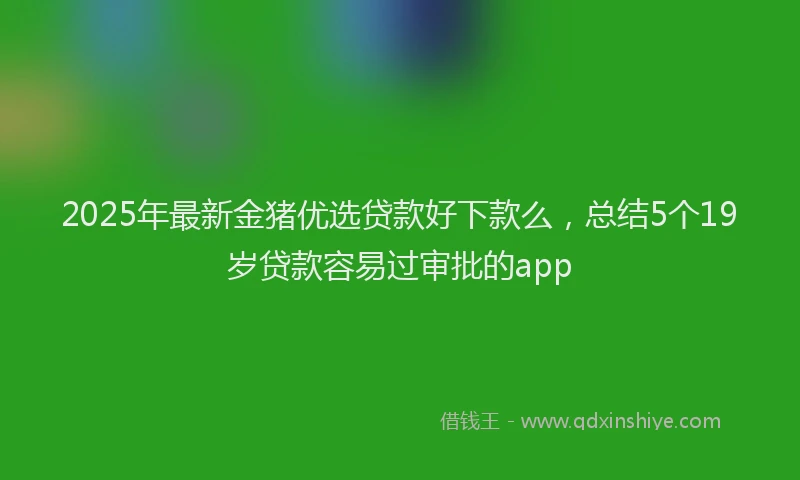 2025年最新金猪优选贷款好下款么，总结5个19岁贷款容易过审批的app