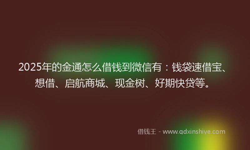 2025年的金通怎么借钱到微信有：钱袋速借宝、想借、启航商城、现金树、好期快贷等。