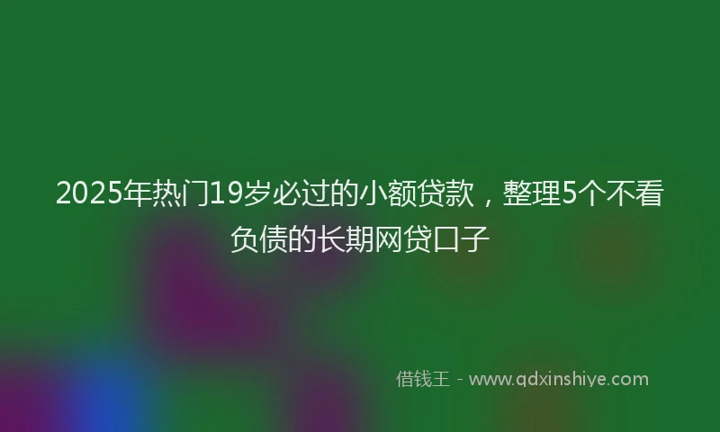 2025年热门19岁必过的小额贷款，整理5个不看负债的长期网贷口子