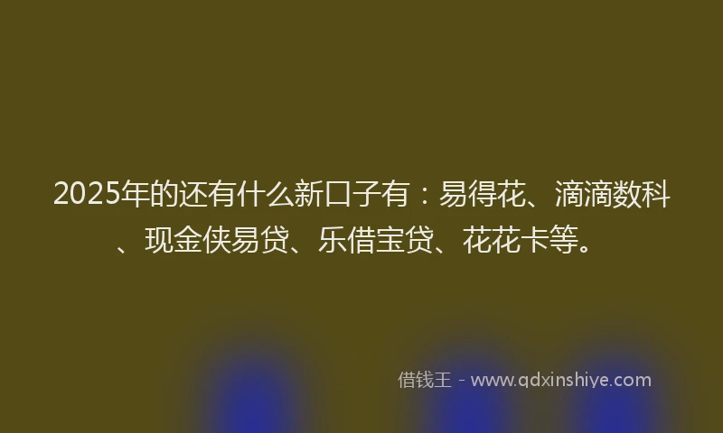 2025年的还有什么新口子有：易得花、滴滴数科、现金侠易贷、乐借宝贷、花花卡等。