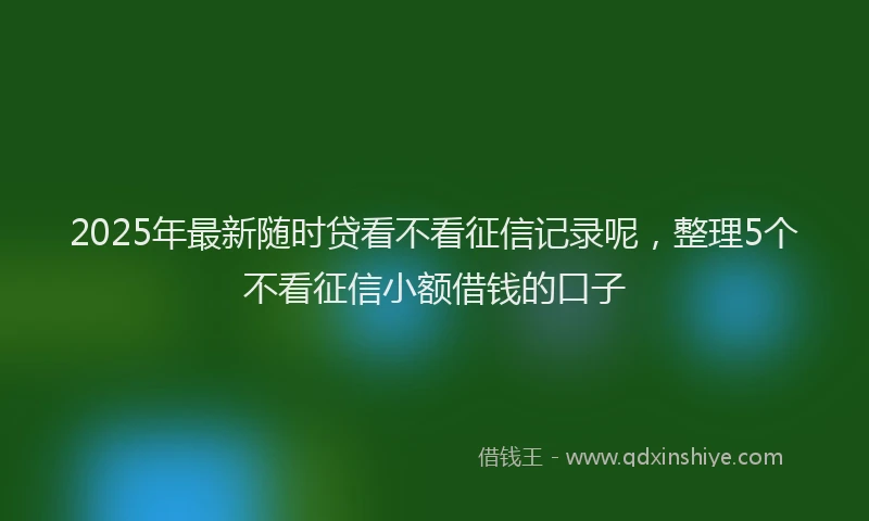 2025年最新随时贷看不看征信记录呢，整理5个不看征信小额借钱的口子
