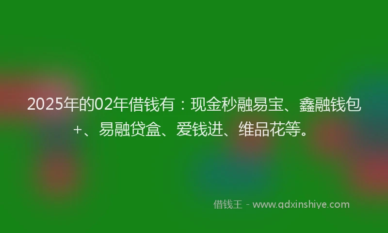 2025年的02年借钱有：现金秒融易宝、鑫融钱包+、易融贷盒、爱钱进、维品花等。
