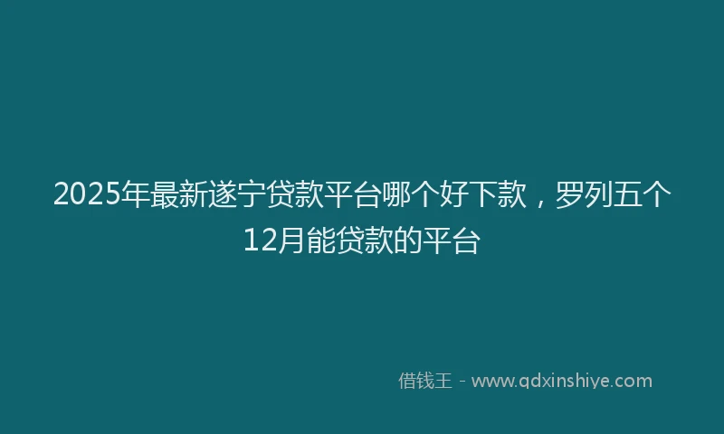 2025年最新遂宁贷款平台哪个好下款，罗列五个12月能贷款的平台