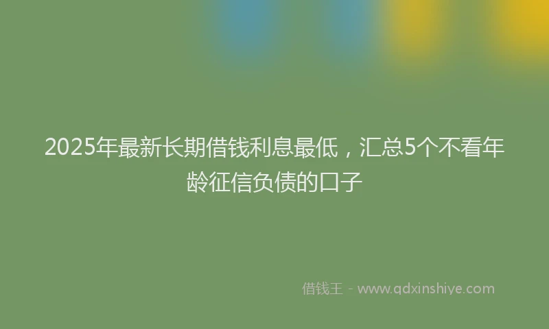 2025年最新长期借钱利息最低，汇总5个不看年龄征信负债的口子