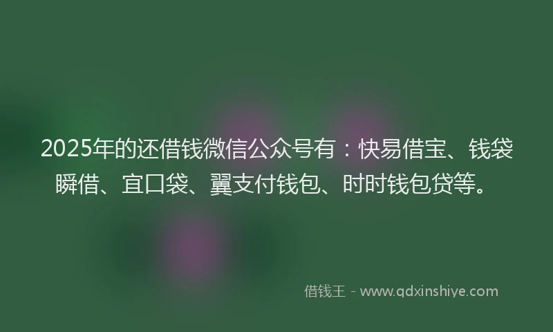 2025年的还借钱微信公众号有：快易借宝、钱袋瞬借、宜口袋、翼支付钱包、时时钱包贷等。