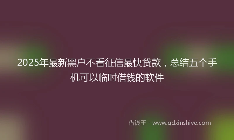 2025年最新黑户不看征信最快贷款，总结五个手机可以临时借钱的软件