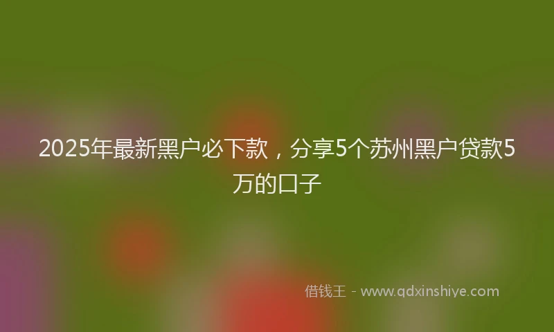 2025年最新黑户必下款，分享5个苏州黑户贷款5万的口子