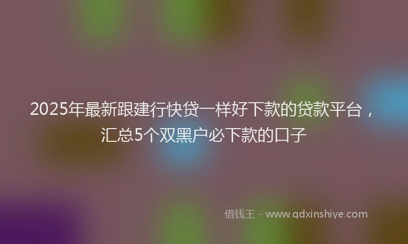 2025年最新跟建行快贷一样好下款的贷款平台，汇总5个双黑户必下款的口子