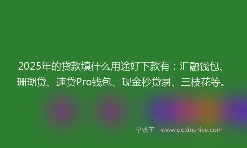 2025年的贷款填什么用途好下款有：汇融钱包、珊瑚贷、速贷Pro钱包、现金秒贷易、三枝花等。