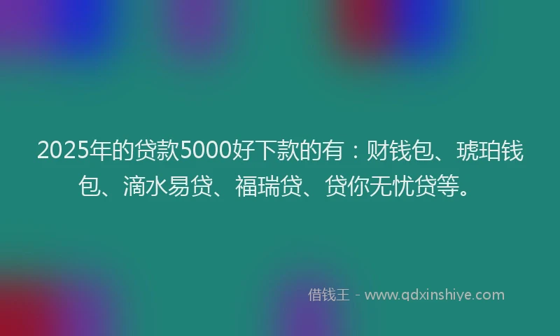 2025年的贷款5000好下款的有：财钱包、琥珀钱包、滴水易贷、福瑞贷、贷你无忧贷等。