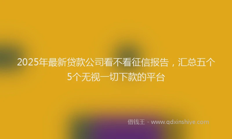 2025年最新贷款公司看不看征信报告，汇总五个5个无视一切下款的平台