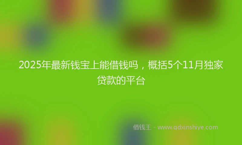 2025年最新钱宝上能借钱吗，概括5个11月独家贷款的平台