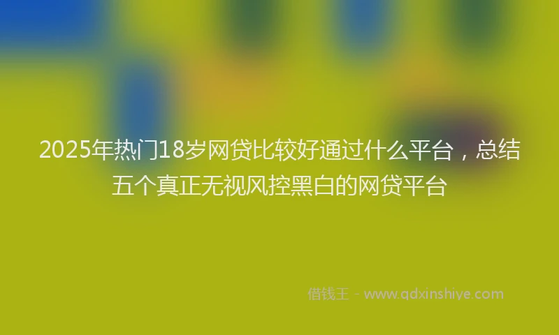 2025年热门18岁网贷比较好通过什么平台，总结五个真正无视风控黑白的网贷平台