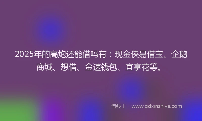 2025年的高炮还能借吗有：现金侠易借宝、企鹅商城、想借、金速钱包、宜享花等。