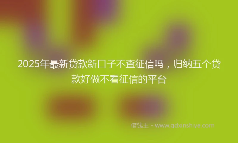 2025年最新贷款新口子不查征信吗，归纳五个贷款好做不看征信的平台