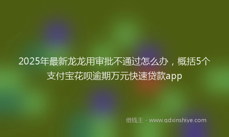 2025年最新龙龙用审批不通过怎么办，概括5个支付宝花呗逾期万元快速贷款app