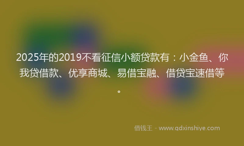 2025年的2019不看征信小额贷款有：小金鱼、你我贷借款、优享商城、易借宝融、借贷宝速借等。