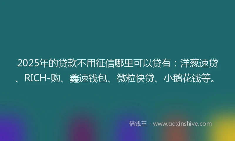 2025年的贷款不用征信哪里可以贷有：洋葱速贷、RICH-购、鑫速钱包、微粒快贷、小鹅花钱等。