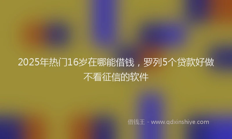 2025年热门16岁在哪能借钱，罗列5个贷款好做不看征信的软件