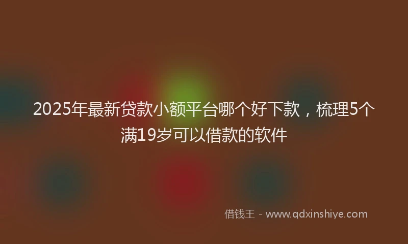 2025年最新贷款小额平台哪个好下款，梳理5个满19岁可以借款的软件