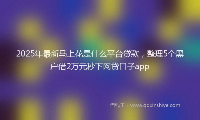 2025年最新马上花是什么平台贷款，整理5个黑户借2万元秒下网贷口子app