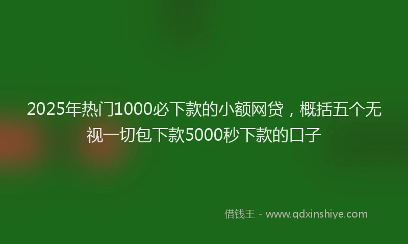 2025年热门1000必下款的小额网贷，概括五个无视一切包下款5000秒下款的口子