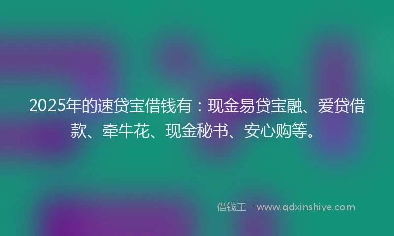2025年的速贷宝借钱有：现金易贷宝融、爱贷借款、牵牛花、现金秘书、安心购等。