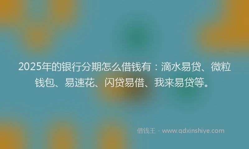 2025年的银行分期怎么借钱有：滴水易贷、微粒钱包、易速花、闪贷易借、我来易贷等。