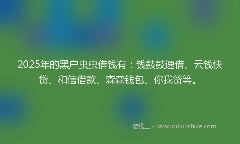 2025年的黑户虫虫借钱有：钱鼓鼓速借、云钱快贷、和信借款、森森钱包、你我贷等。