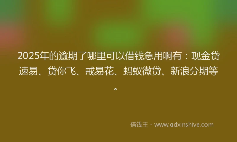 2025年的逾期了哪里可以借钱急用啊有：现金贷速易、贷你飞、戒易花、蚂蚁微贷、新浪分期等。