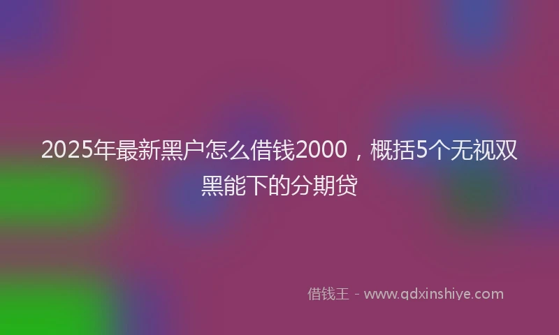 2025年最新黑户怎么借钱2000，概括5个无视双黑能下的分期贷