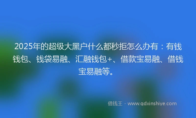 2025年的超级大黑户什么都秒拒怎么办有：有钱钱包、钱袋易融、汇融钱包+、借款宝易融、借钱宝易融等。