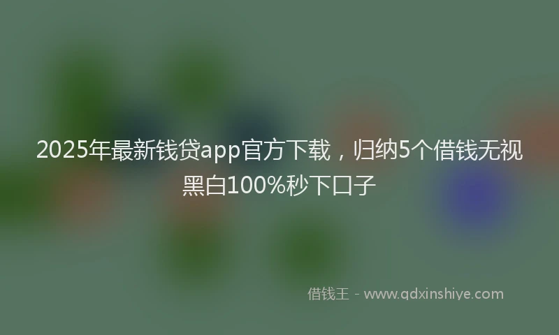 2025年最新钱贷app官方下载，归纳5个借钱无视黑白100%秒下口子