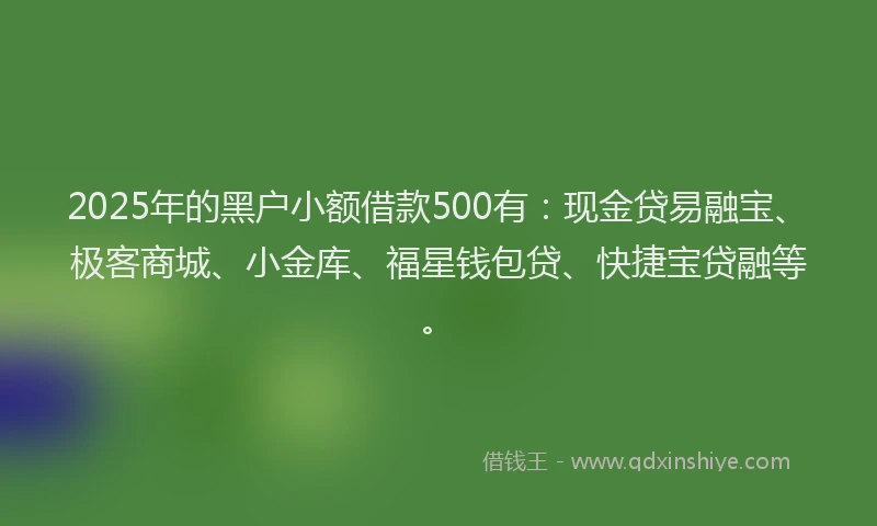 2025年的黑户小额借款500有：现金贷易融宝、极客商城、小金库、福星钱包贷、快捷宝贷融等。