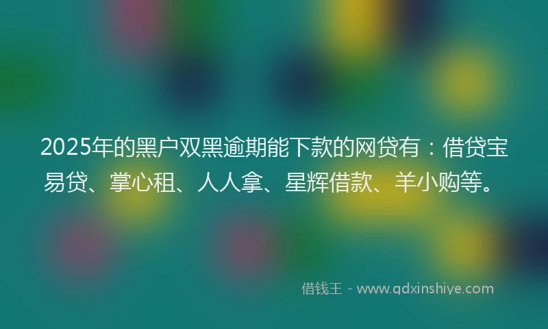 2025年的黑户双黑逾期能下款的网贷有：借贷宝易贷、掌心租、人人拿、星辉借款、羊小购等。