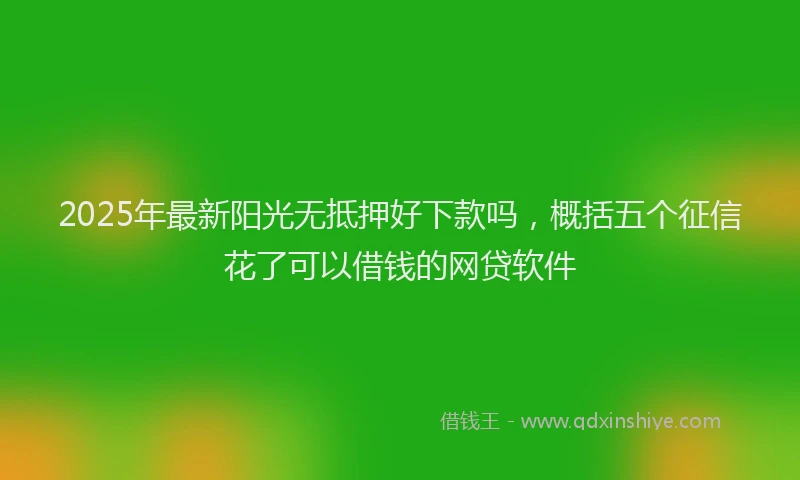 2025年最新阳光无抵押好下款吗，概括五个征信花了可以借钱的网贷软件